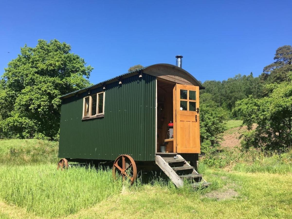 Cosy Woodland Off Grid Shepherds Hut - Rowan Villa Castle Douglas Exterior foto
