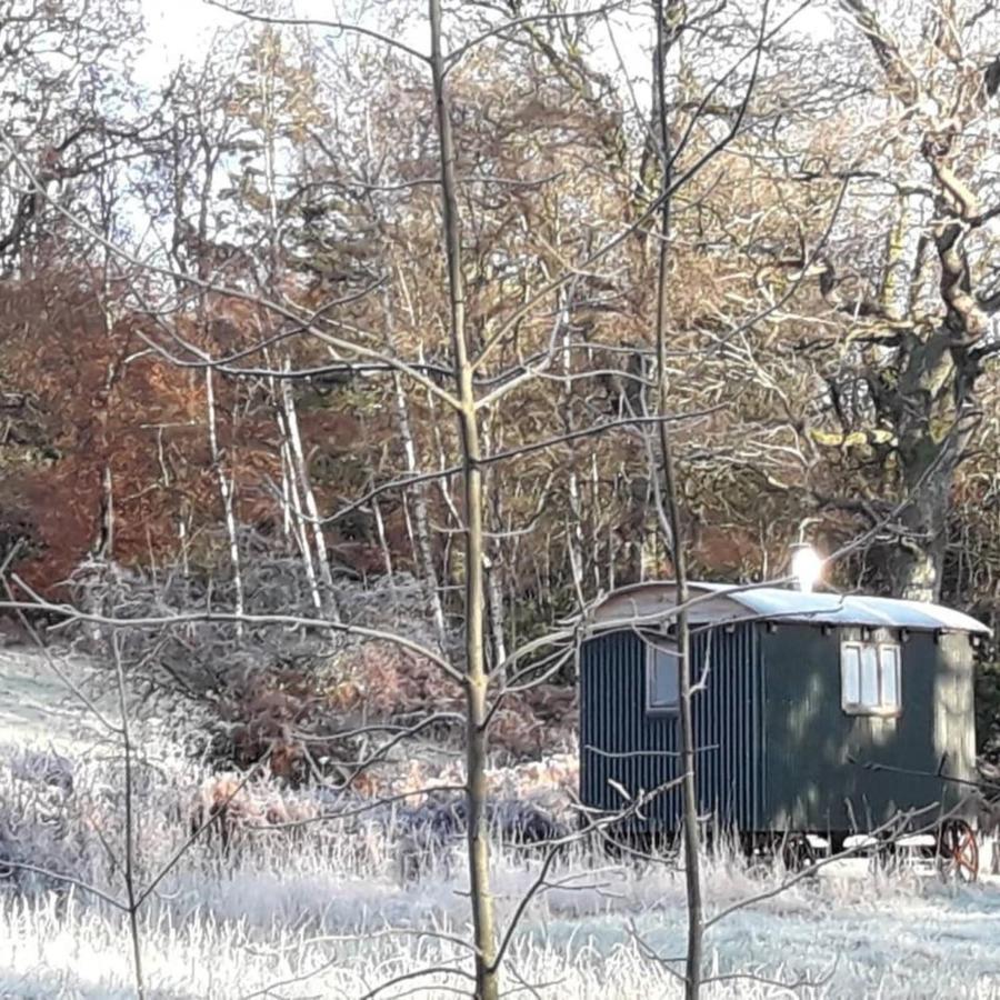 Cosy Woodland Off Grid Shepherds Hut - Rowan Villa Castle Douglas Exterior foto