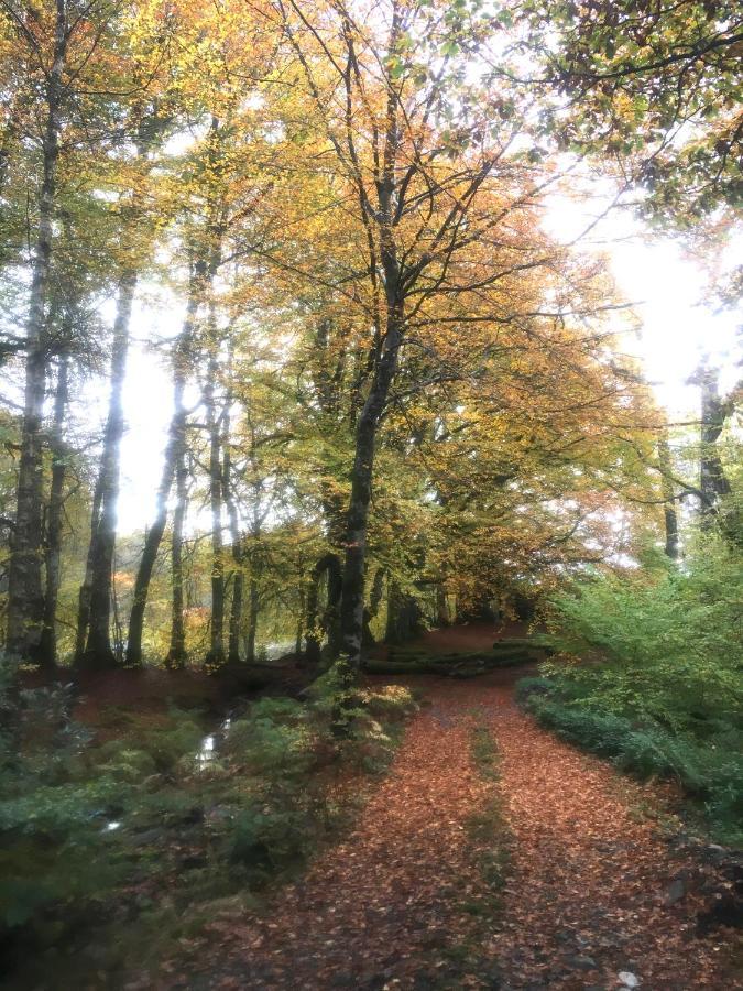 Cosy Woodland Off Grid Shepherds Hut - Rowan Villa Castle Douglas Exterior foto