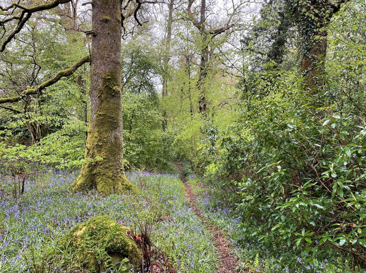 Cosy Woodland Off Grid Shepherds Hut - Rowan Villa Castle Douglas Exterior foto